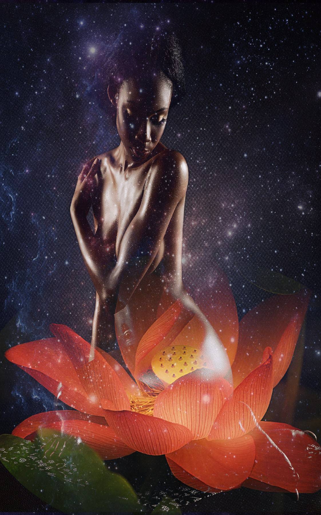 **PRE-ORDER SALE** MILO: The Multidimensional Inflorescence Love Oracle (The Flower Oracle)
